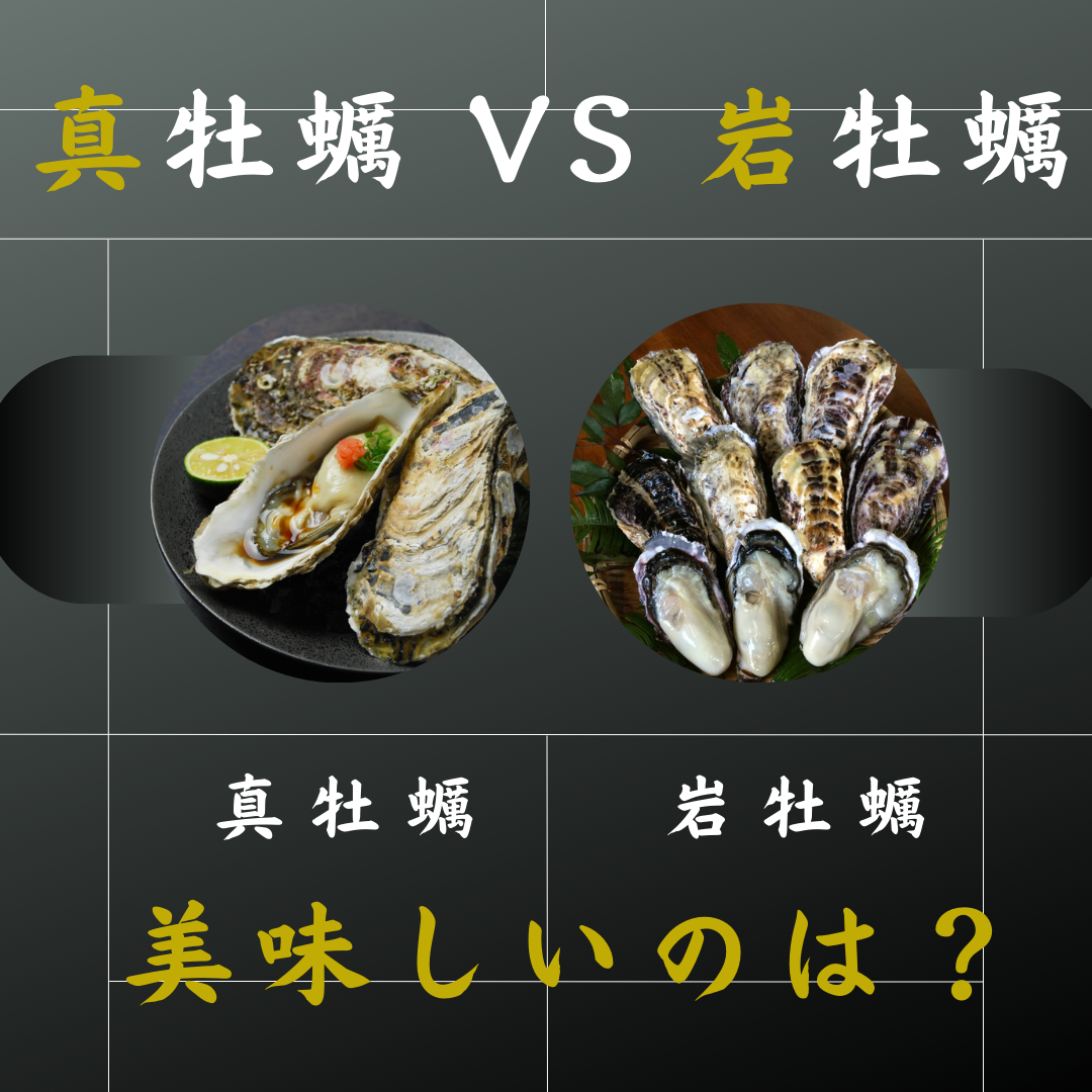 【瀬戸内オンライン市場】真牡蠣と岩牡蠣の違いについて解説