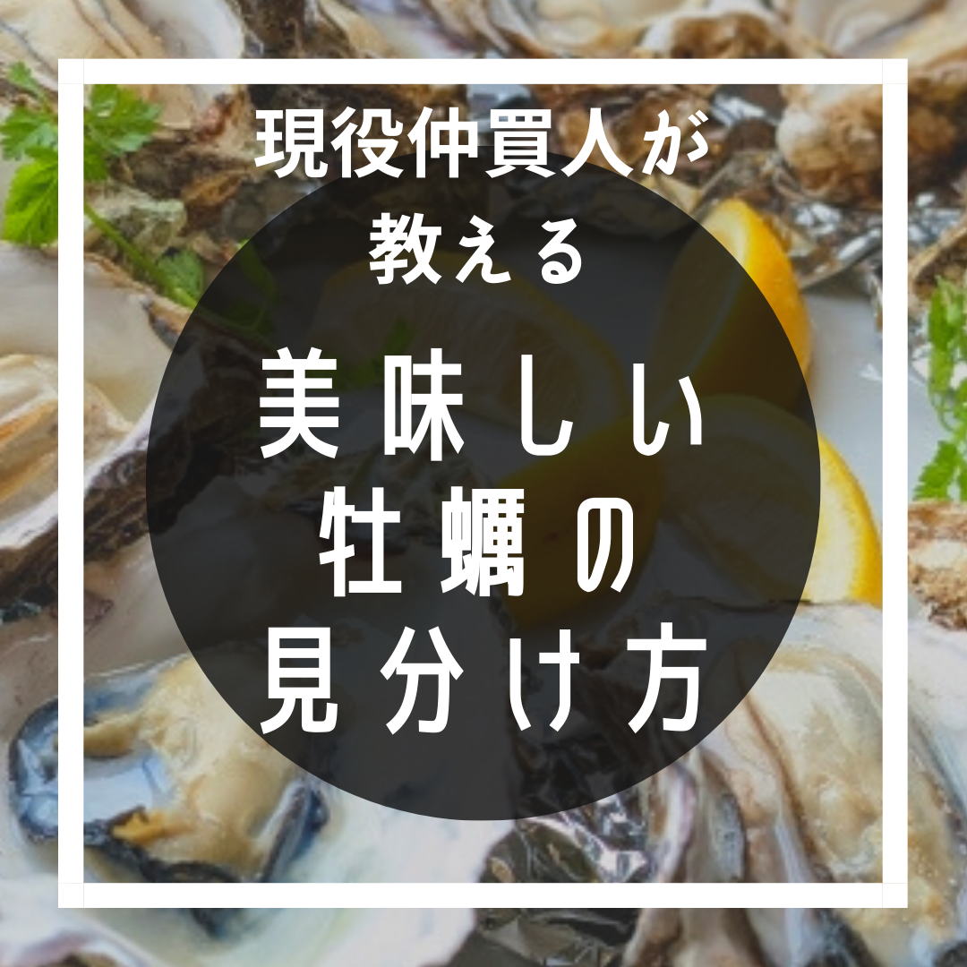 【瀬戸内オンライン市場】美味しい牡蠣の見分け方